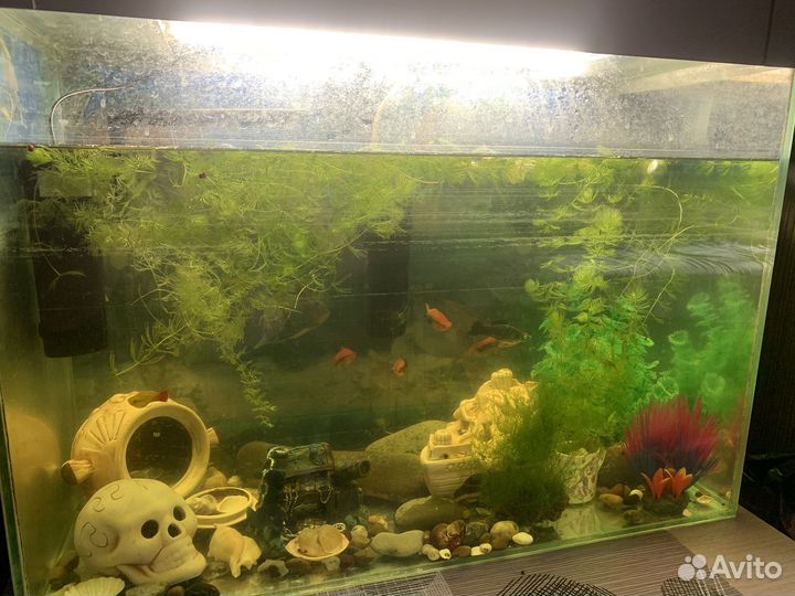 Аквариум с тумбочкой