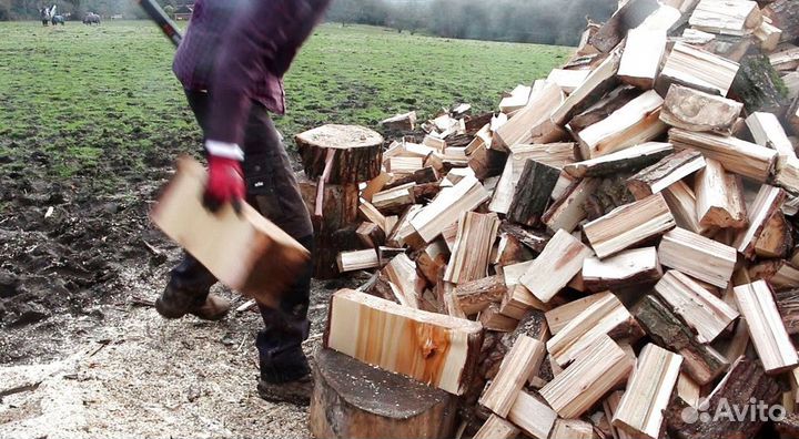 Дрова с Выборга