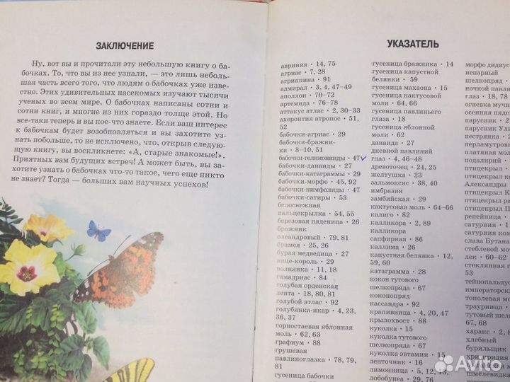 Книга бабочки