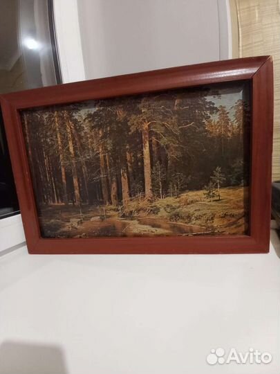 Картина СССР