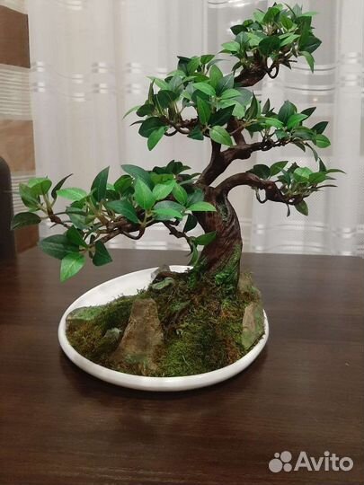 Бонсай искусственный
