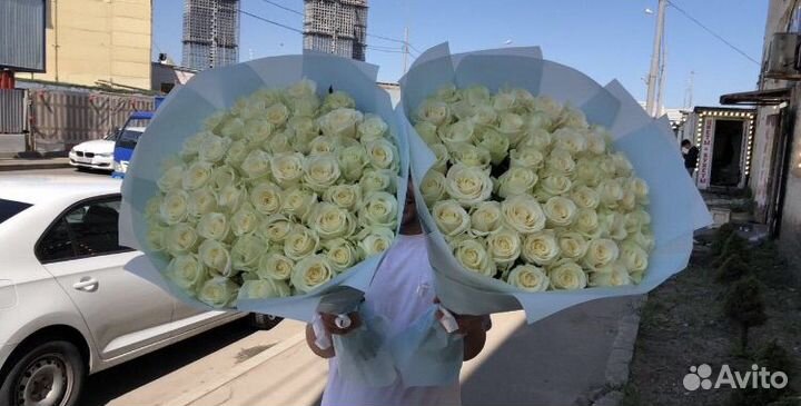 Розы 51 штука 60 см
