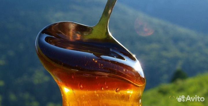 Алтайское разнотравье Мед