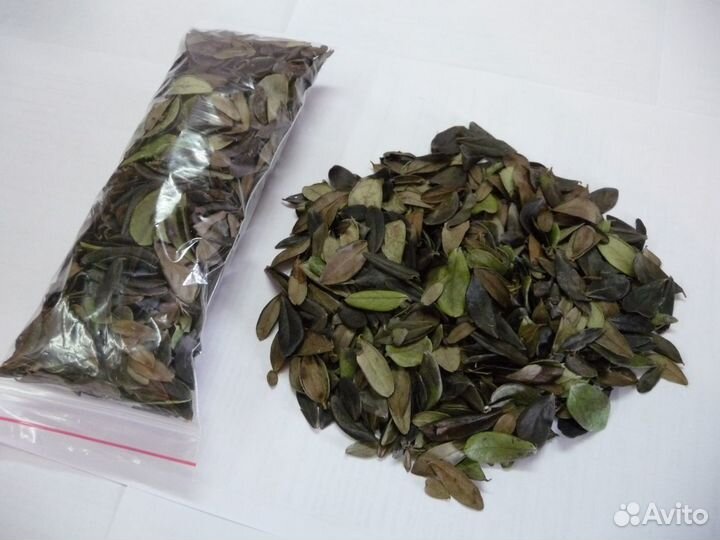 Листья брусники