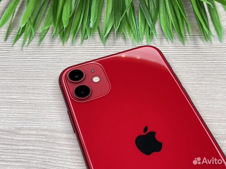 iPhone 11 64GB Red