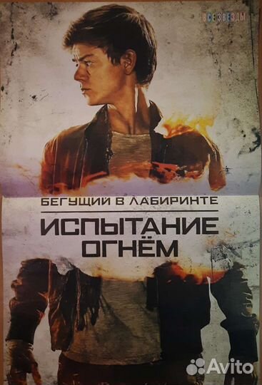 Бегущий в лабиринте / Американская история ужасов