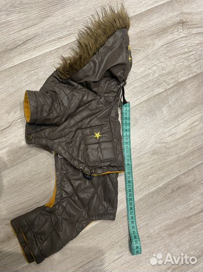 Одежда для маленьких собак