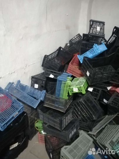 Пластиковые ящики для овощей бу