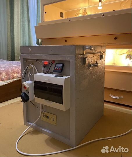 Инкубатор для яиц