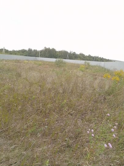 Участок 14,5 сот. (СНТ, ДНП)