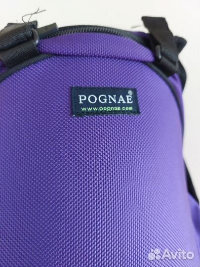 Хипсит pognae