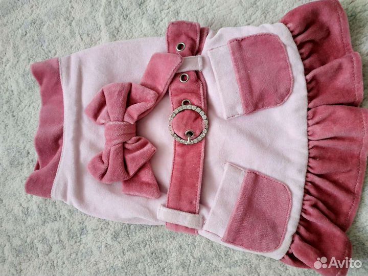 Одежда для собачки/кошки