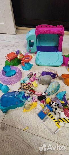 Хомячки с аксессуарамии автобусом