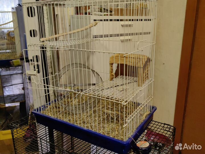 Клетка для грызунов бу