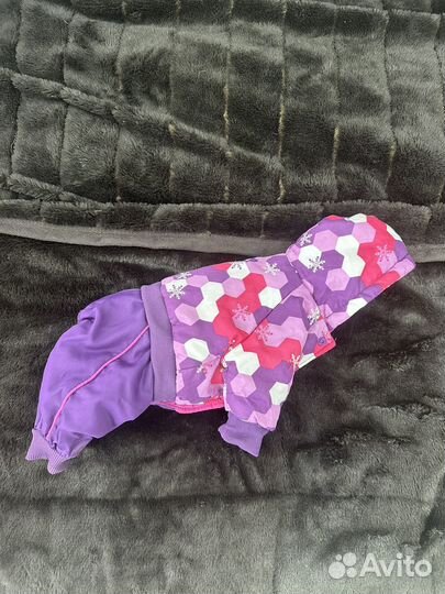 Комбинезон куртка для маленькой собаки