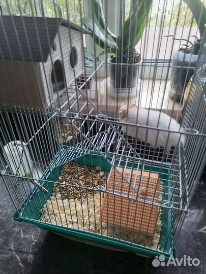 Клетка для грызунов