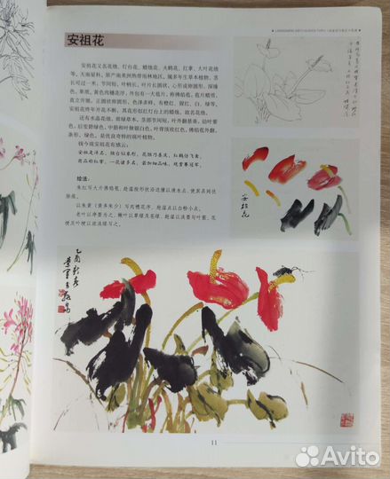 Цветы в китайской живописи