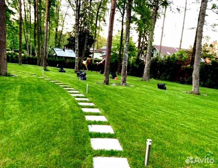 Рулонный газон