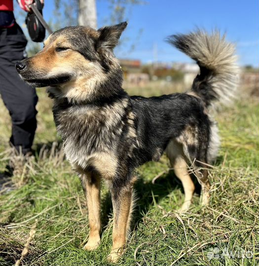 Боня, девочка