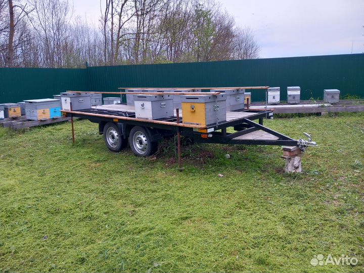 Прицеп пчеловодческий