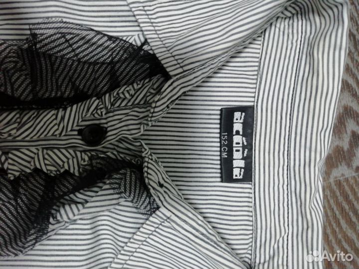 Рубашка акула 152