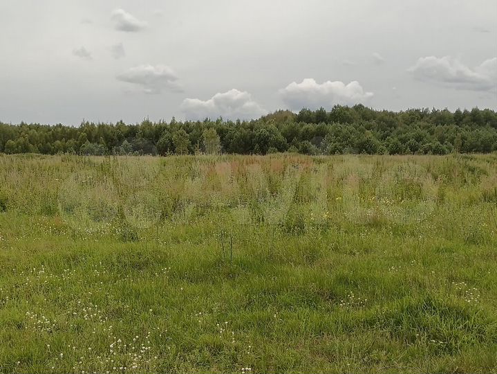 Участок 33,17 га (СНТ, ДНП)
