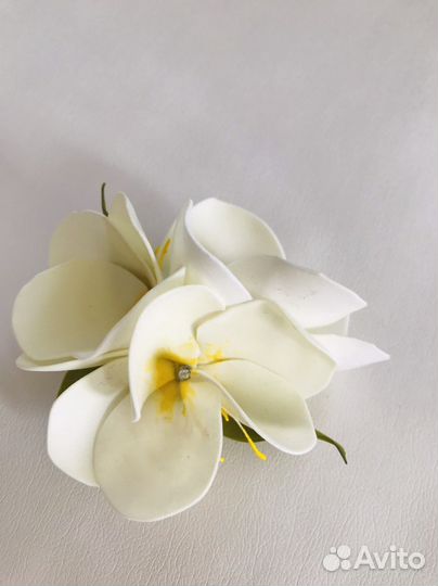 Гавайский цветок