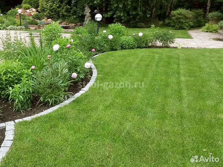 Укладка рулонного газона