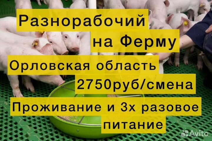 Работа вахта с проживанием Ферма Орловская обл