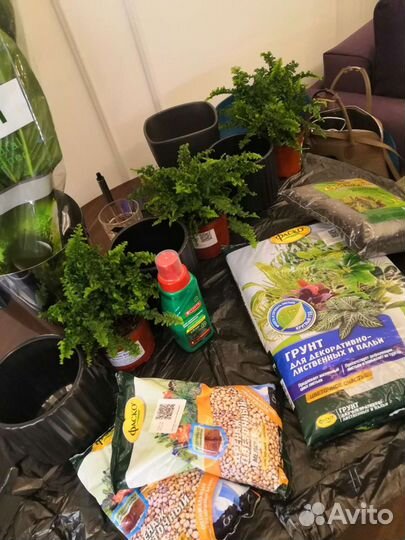 Офлормление праздников