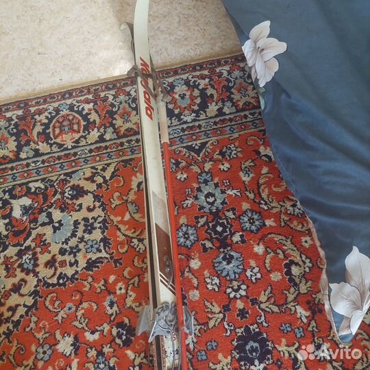 Горные лыжи