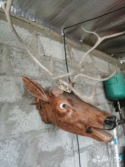 Голова оленя