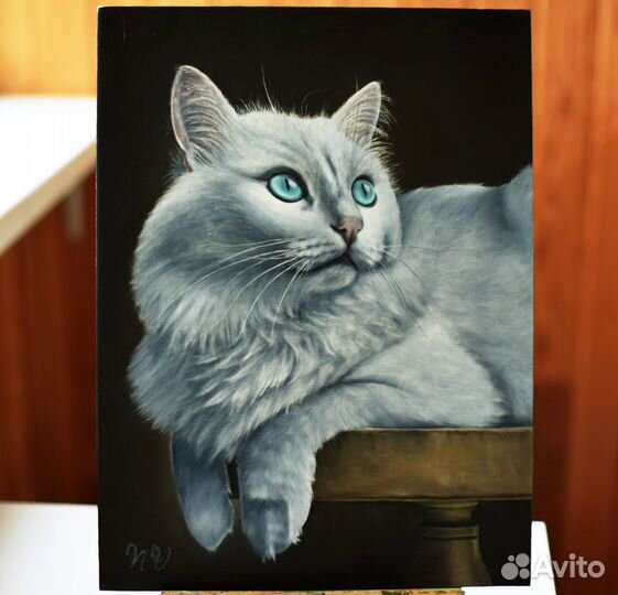 Картина маслом Портрет белого кота