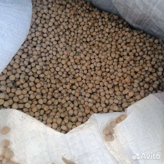 Зерно в мешках