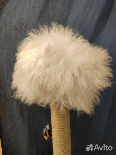 Кавказская папаха из овчины Дагестан