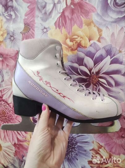 Коньки nordway