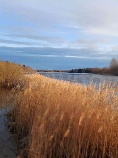 Дом 60 м² на участке 30 сот.