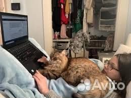 Работа из дома.Официально. График гибкий. Оператор