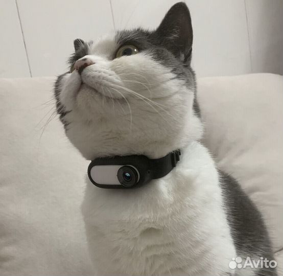 Камера insta360 go 2 64Гб