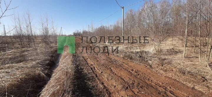 Участок 10,9 сот. (ИЖС)