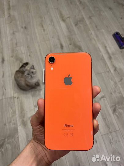 iPhone Xr, 64 ГБ