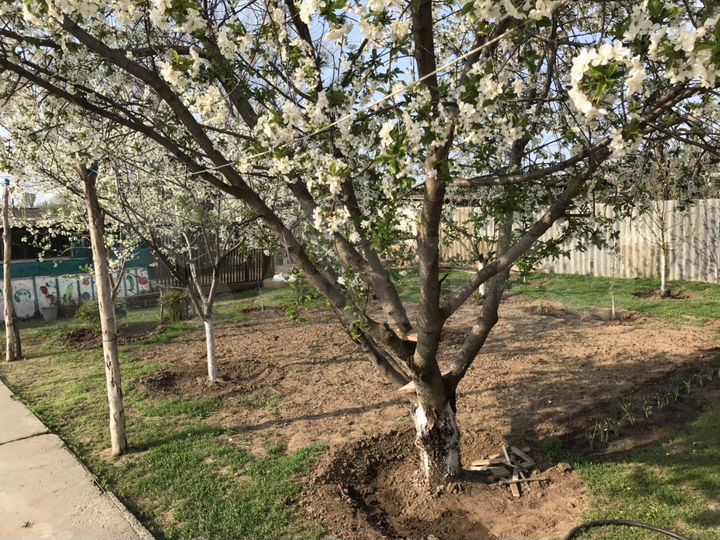 Дом 95 м² на участке 10 сот.