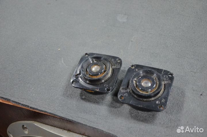 Динамики 6гдв-1-16