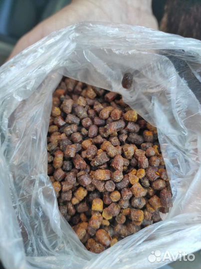 Перга пчелиная 22 года