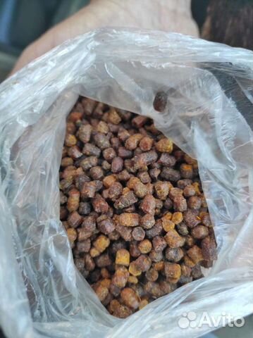 Перга пчелиная 22 года