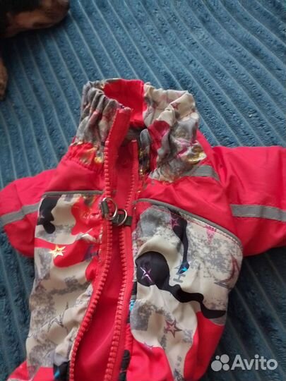 Одежда для собак