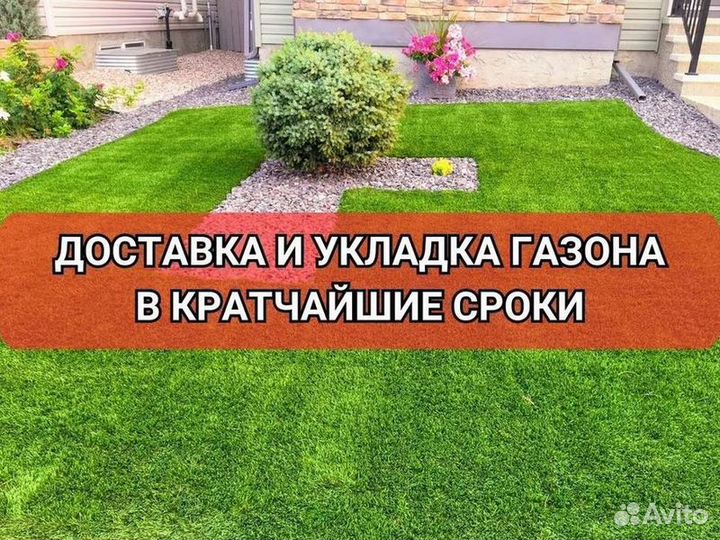 Рулонный газон, укладка, продажа