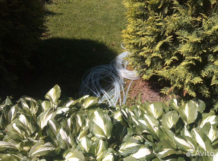 Шланг силиконовый 9/12