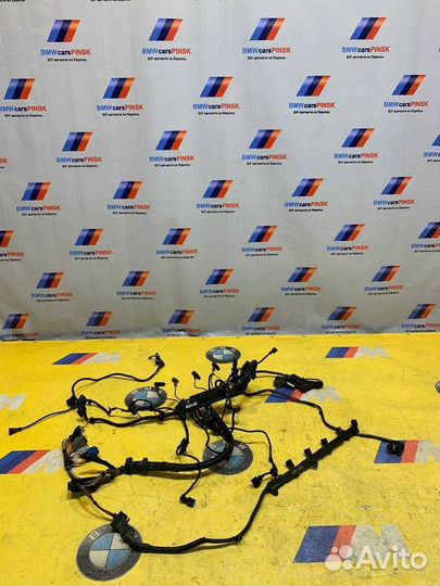 Проводка двигателя BMW X5 E70 2008 1251780172601