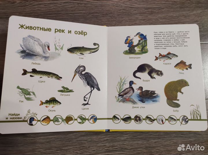 Развивающая книга (игрушка) для детей новая